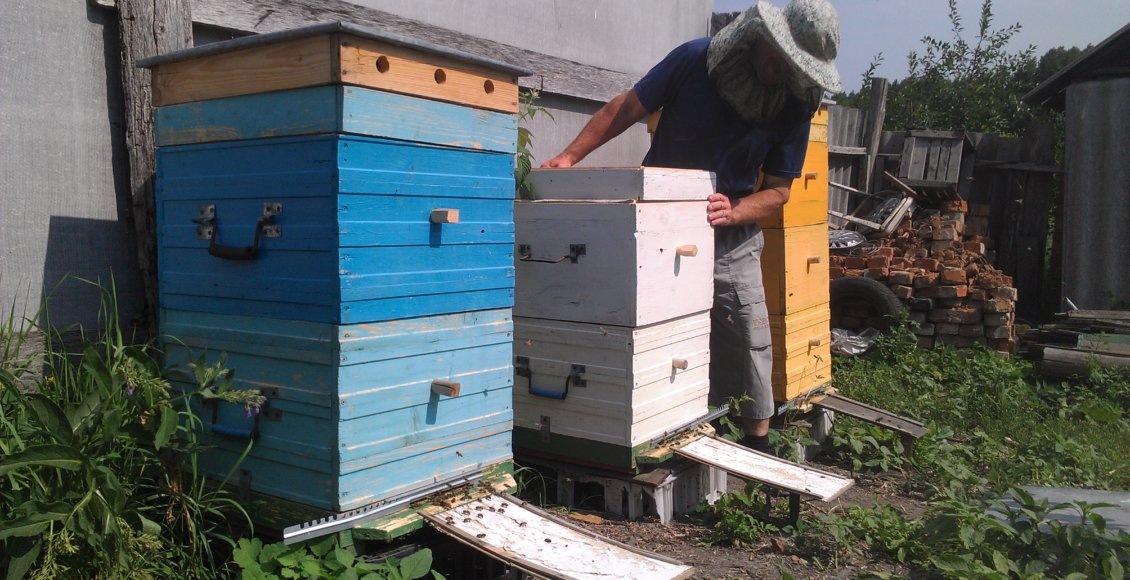    Фото: НИА "Экология"