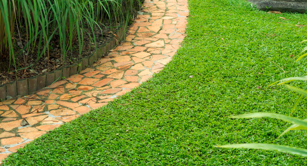 Фрагментарный принцип оформления садовых дорожек: правила и идеи необычного декора