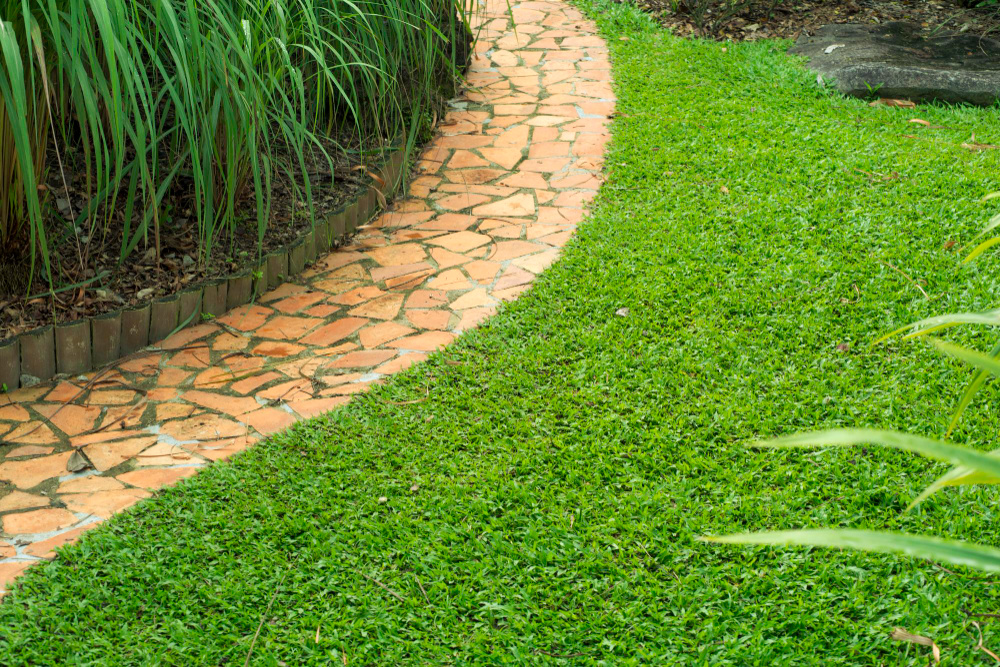 Вариант дорожки, оформленной по фрагментарному принципу