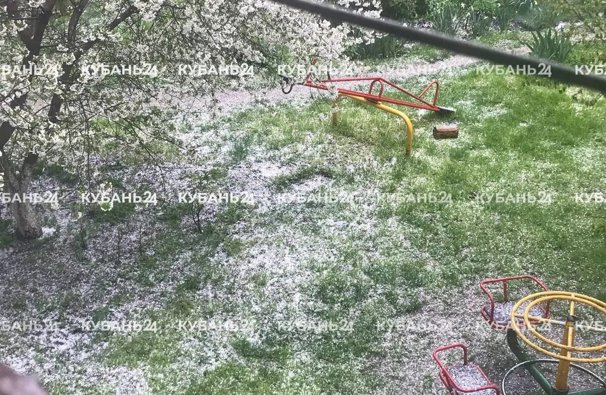    Фото «Кубань 24»