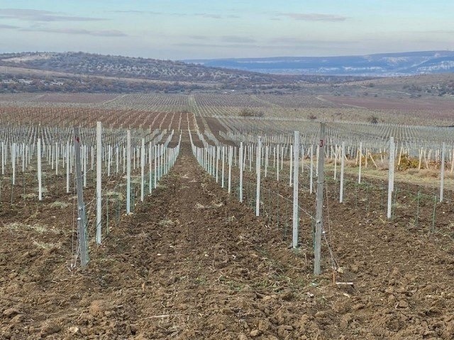   минсельхоз Ставрополья