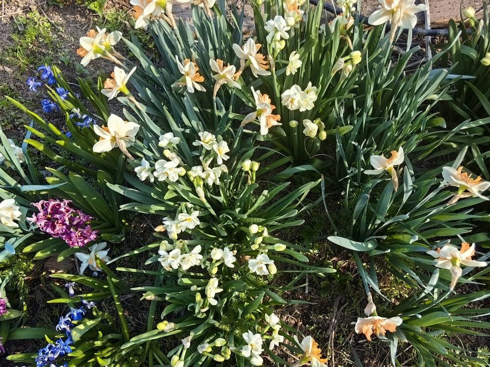 Фото Натальи Мироновой