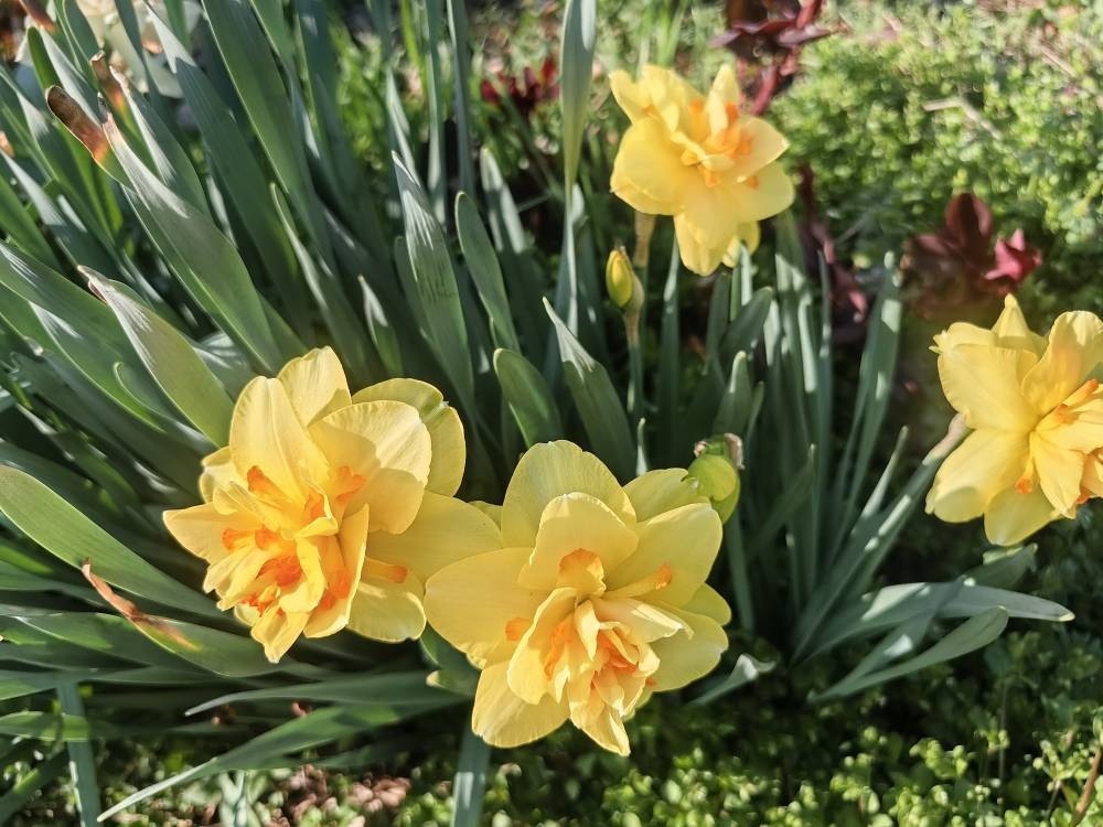 Фото Натальи Мироновой