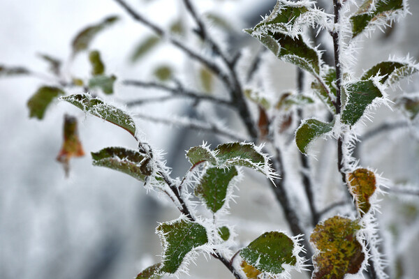 Oleksandr Filatov/Shutterstock/FOTODOM   📷