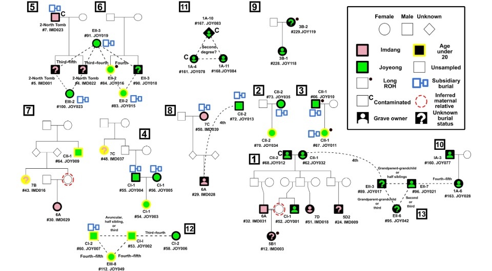   Hyoungmin Moon et al. / Science Advances, 2026
