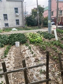 Шанхай, где люди просто живут