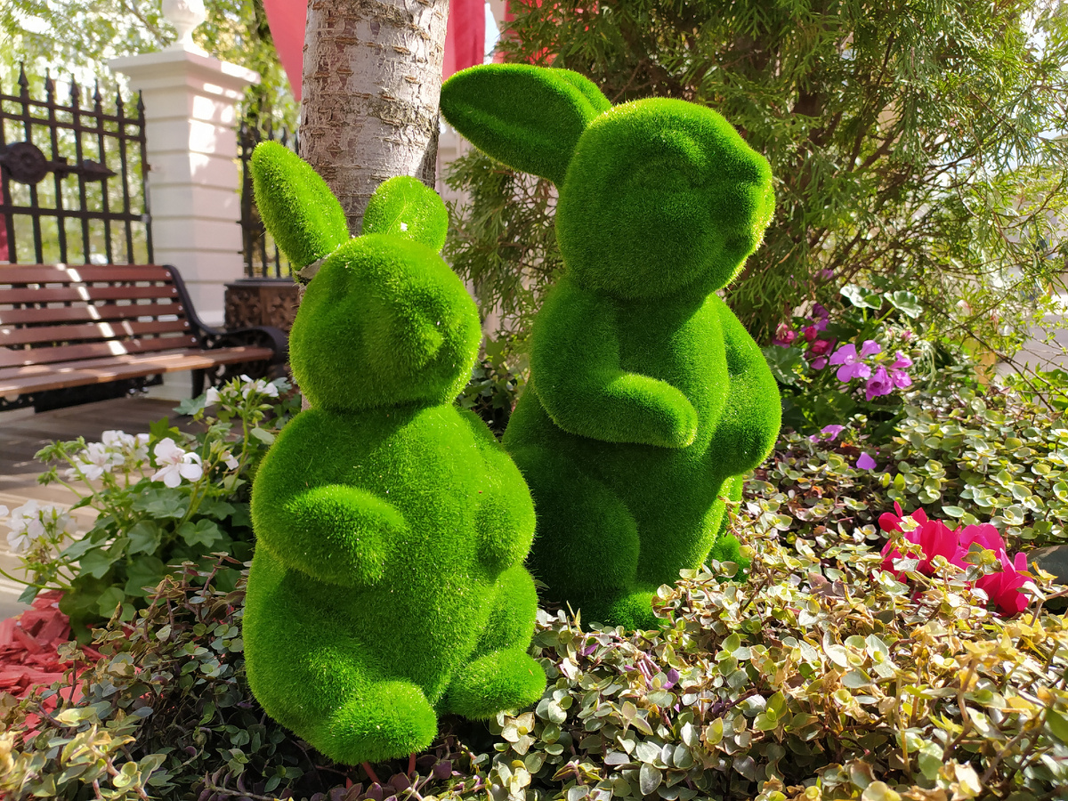 личное фото