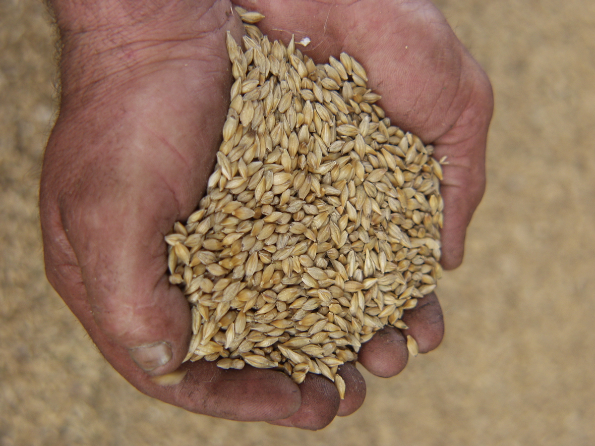     Хужалыҡтар орлоҡ менән тулыһынса тәьмин ителгән