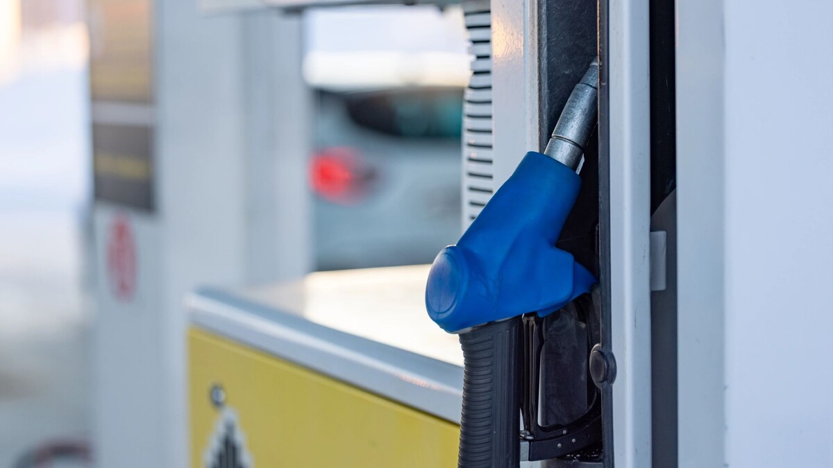    Фото: Сергей Зубков / «Ямал-Медиа»