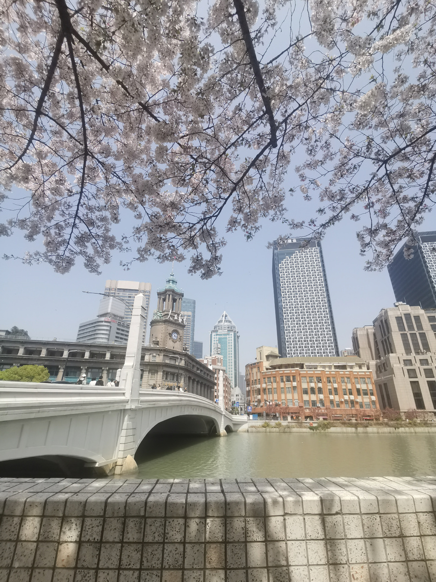 Весенний Шанхай