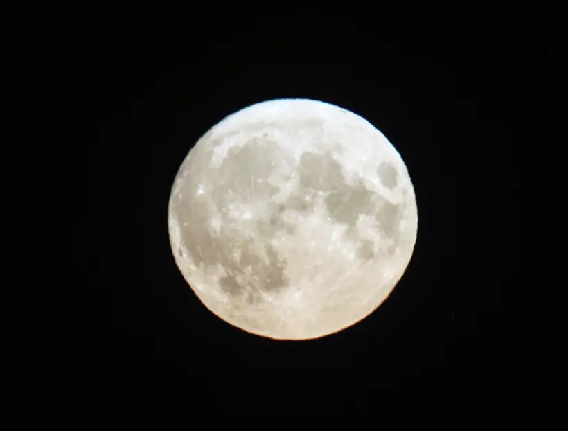     © РИА Новости. Виталий Белоусов