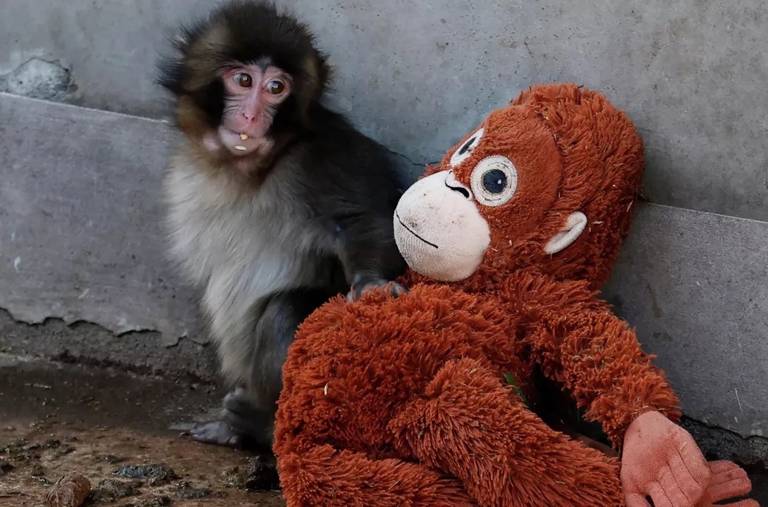 Фото из интернета