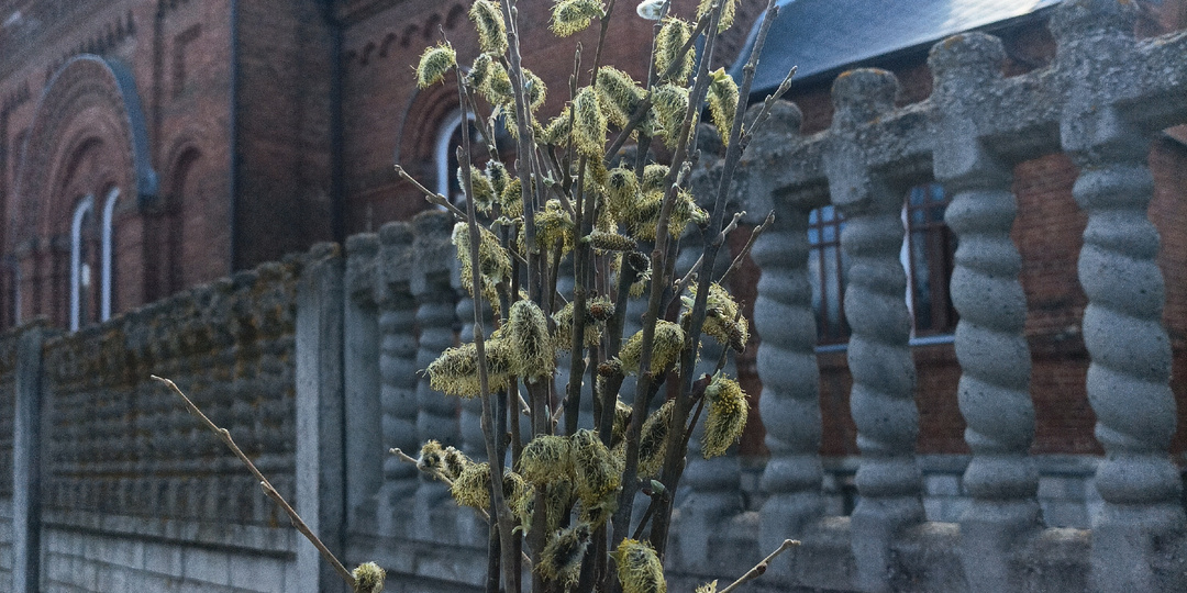 Не могу приступить к уборке - пишут в комментариях