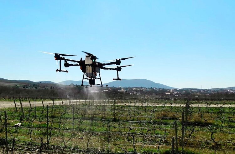    Фото: Новороссийский филиал ЦОК АПК