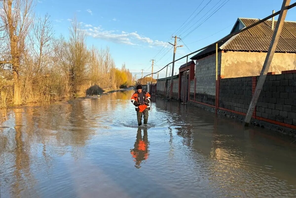     © РИА Новости. Зиявутдин Гаджиахмедов