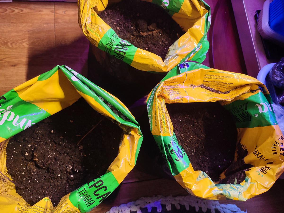 "Грядки" под огурцы 