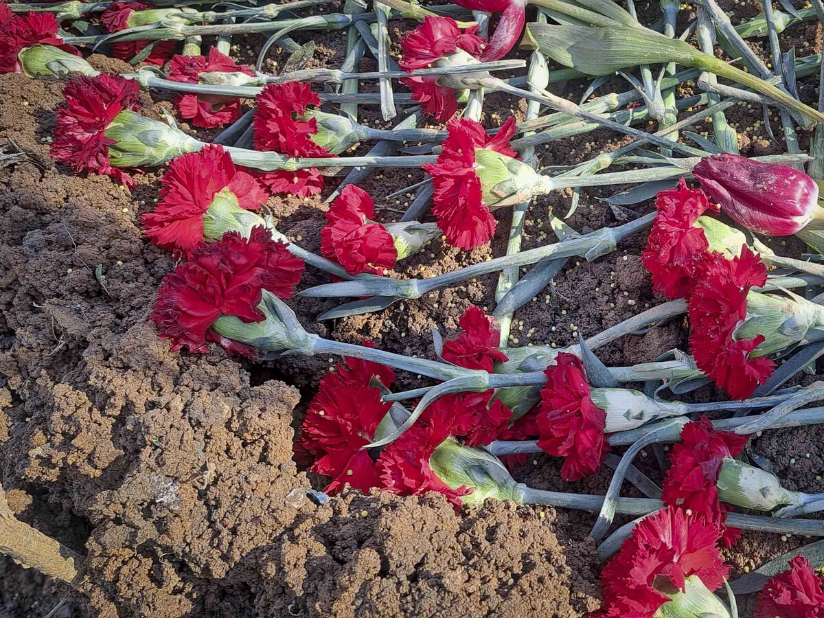 Олесю Багуту проводили в последний путь 9 апреля.  Фото: Вера Романескул