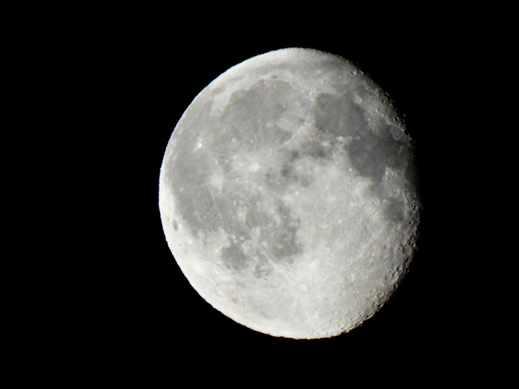    Фото © АГН «Москва»