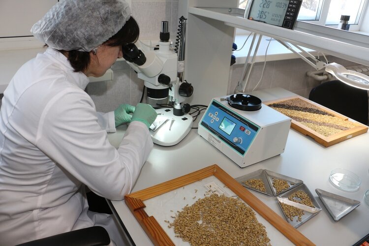    Фото: Федеральный центр охраны здоровья животных