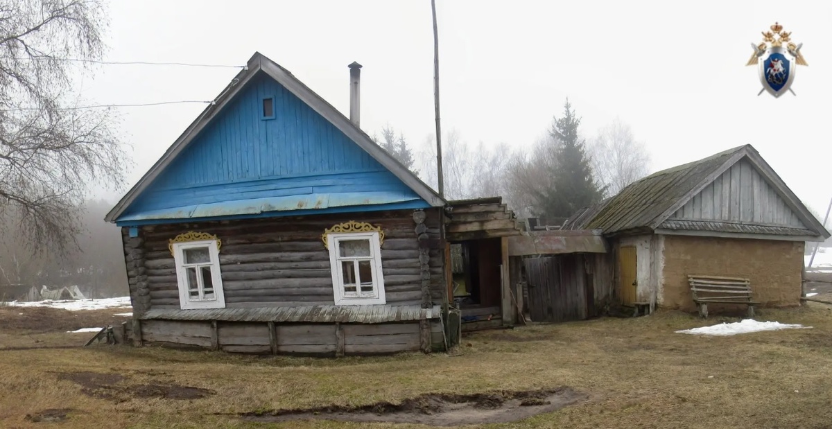    Соцсети / СУ СК РФ по Республике Мордовия