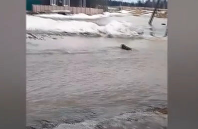     Талые воды хлынули на дорогу в селе Бакчет