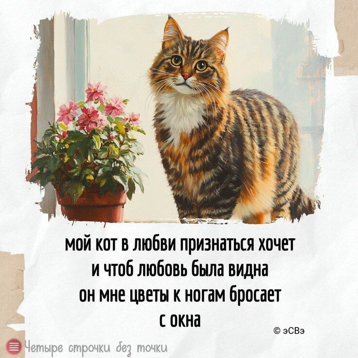 фото из интернета