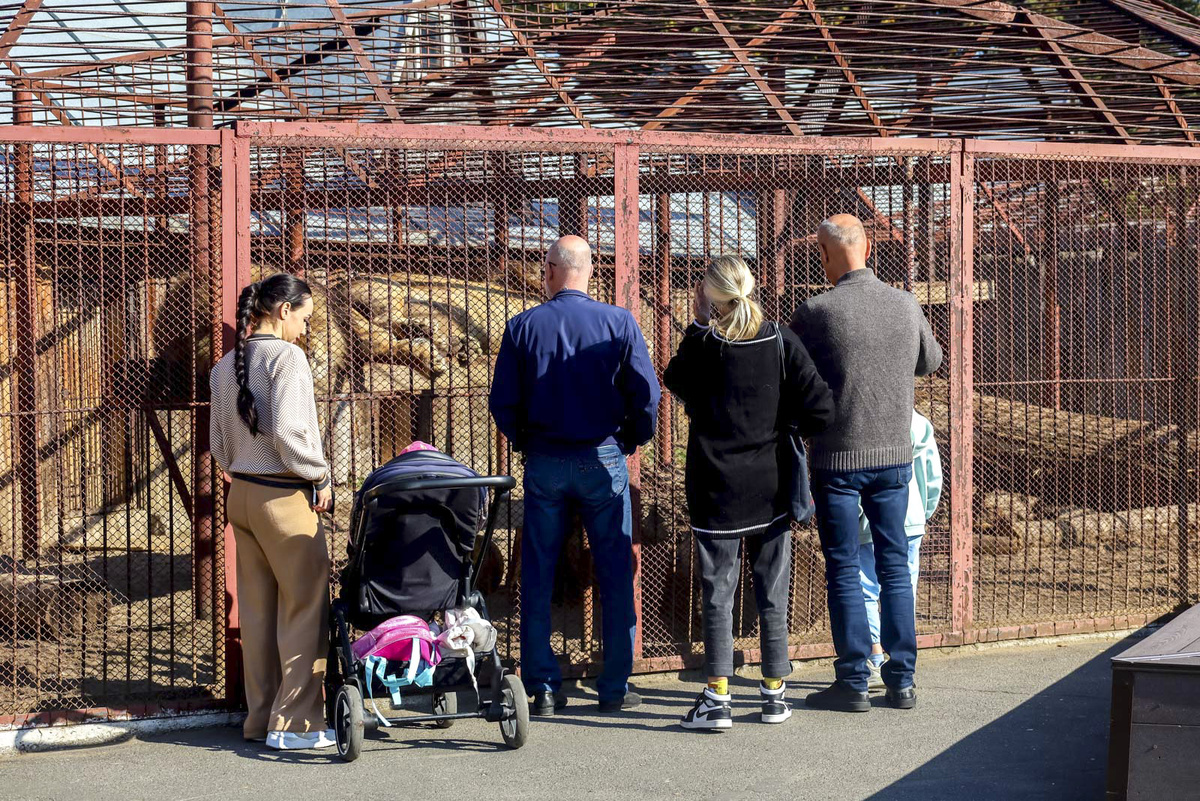 Подозреваемые пока не установлены.  Фото: ФедералПресс / Елена Майорова
