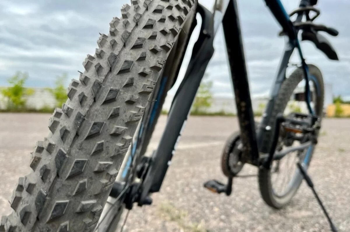    Во Владимире установили личность подозреваемой в краже велосипедов