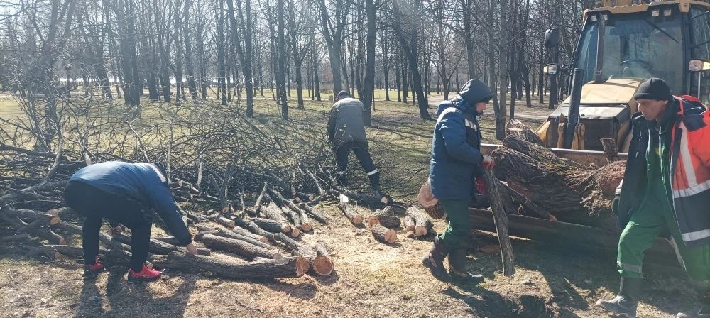    Фото: https://www.gov.spb.ru/gov/otrasl/blago/news/314344/