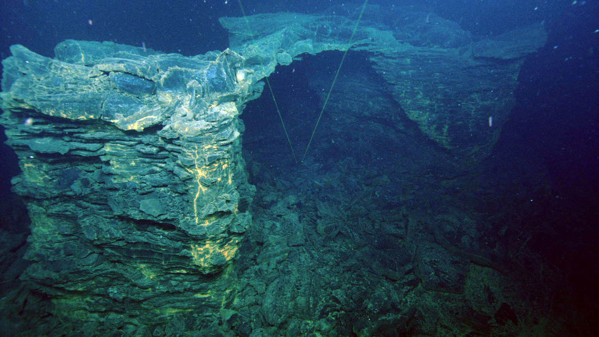 Поверхность дна океана под вулканом Аксиал. Источник: https://clck.su/pnzVl