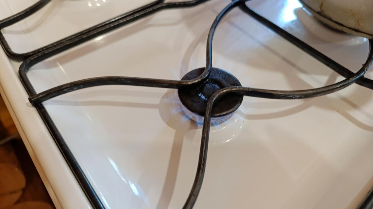    Фото: Svetlana Vozmilova/Global Look Press