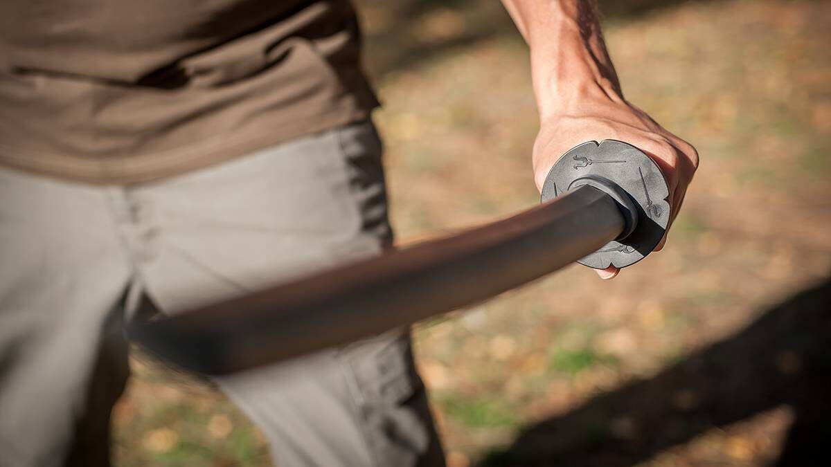    Фото: Shutterstock