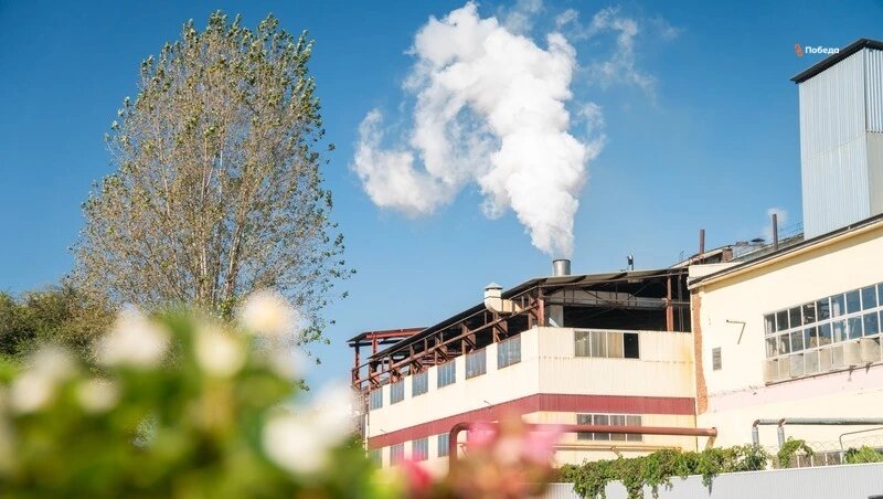      Фото: ИА «Победа26»