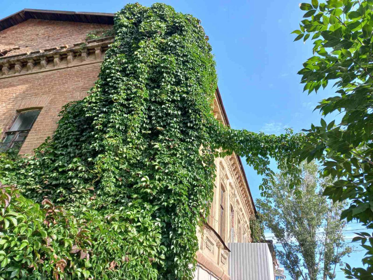 Фото автора.