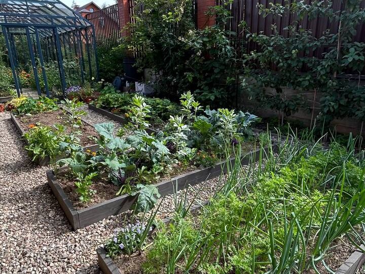 Участок 3 сотки и урожай на всю семью: реально ли это без химии и «жизни на грядках»