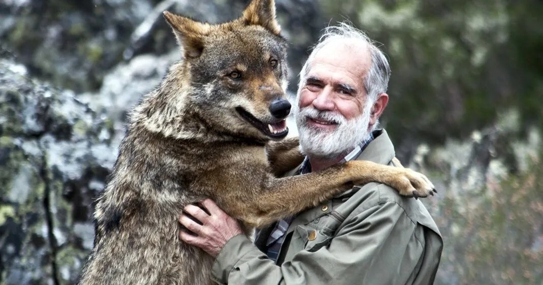 Фото из Яндекса