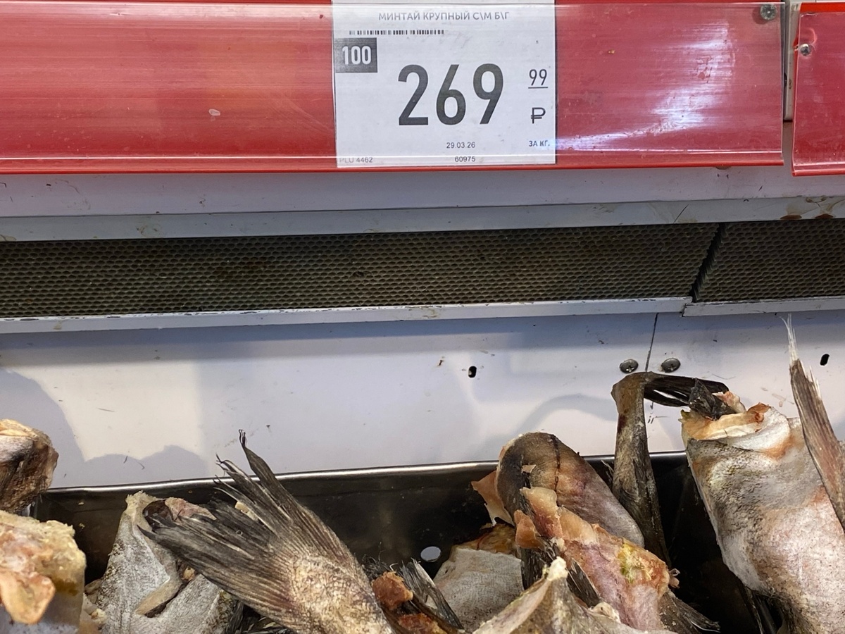 И ты, минтай! Фото автора.  