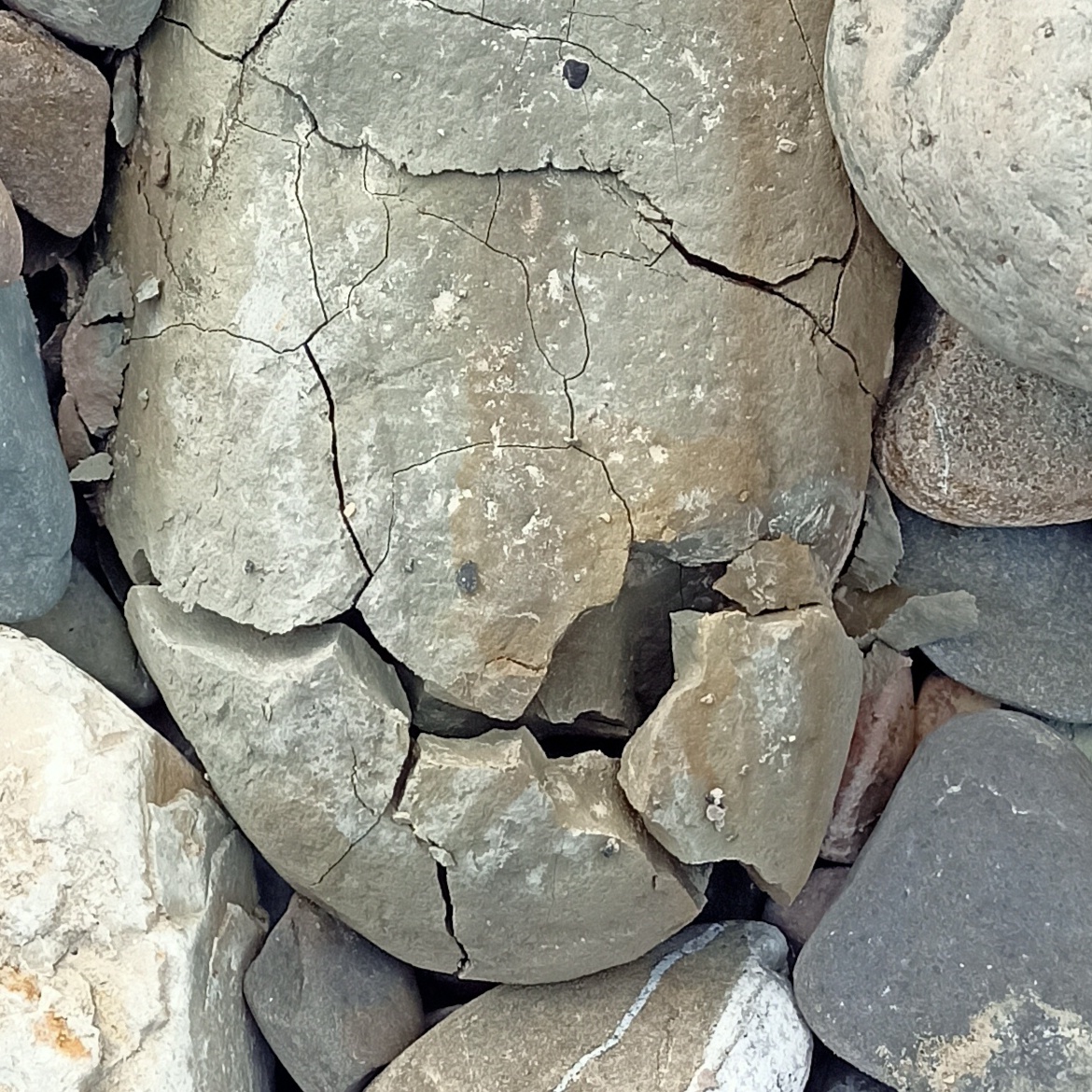 Даже камни умирают