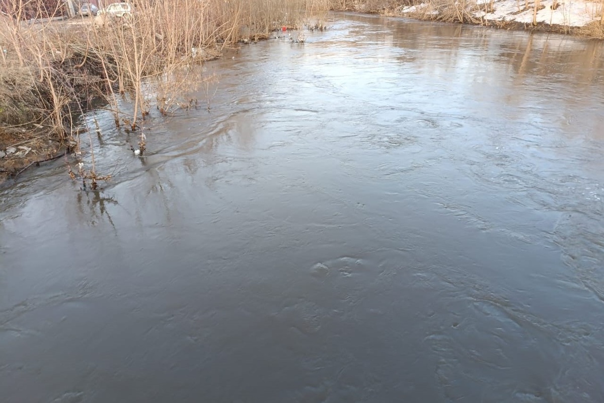    Фото: Прецедент