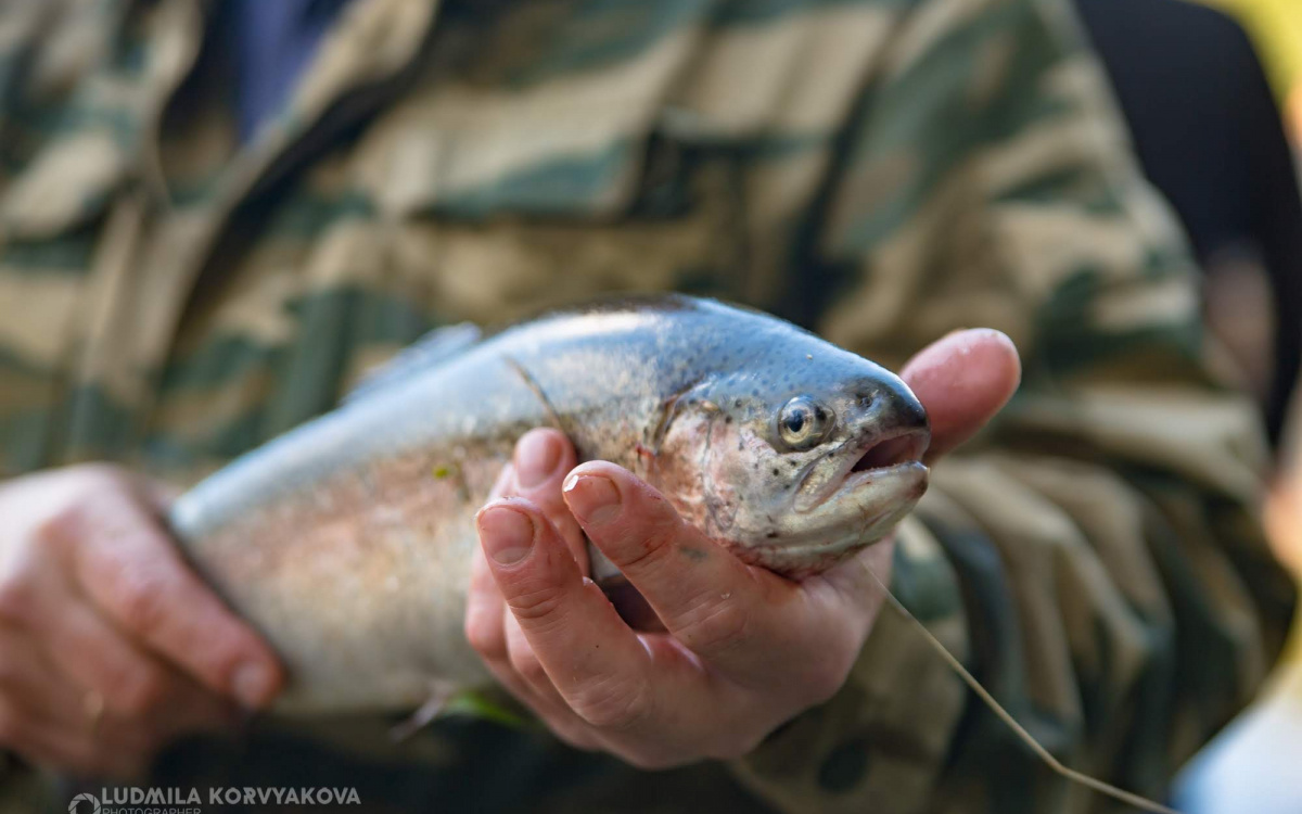    фото: Столица на Онего