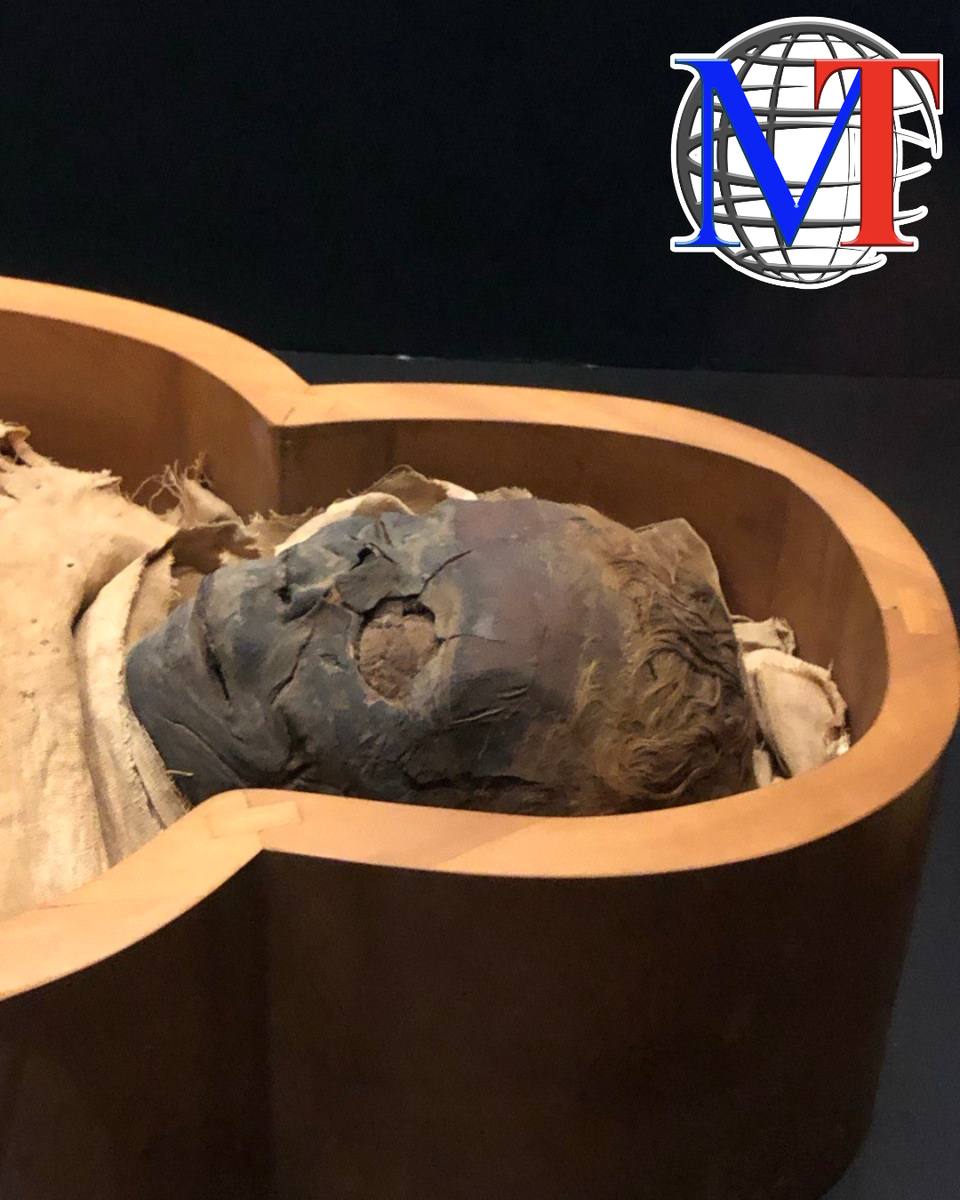 Голова Аменирдис: поразительная сохранность кожи и волос спустя 2700 лет.