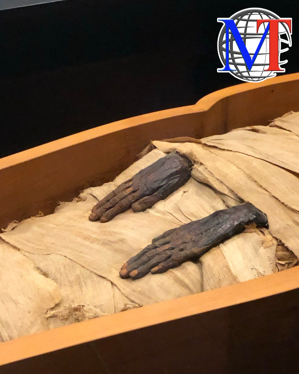 Руки мумии — наглядное свидетельство мастерства бальзамировщиков XXII династии.