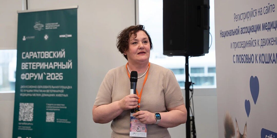 Повышенный креатинин у кошки не всегда говорит об отказе почек