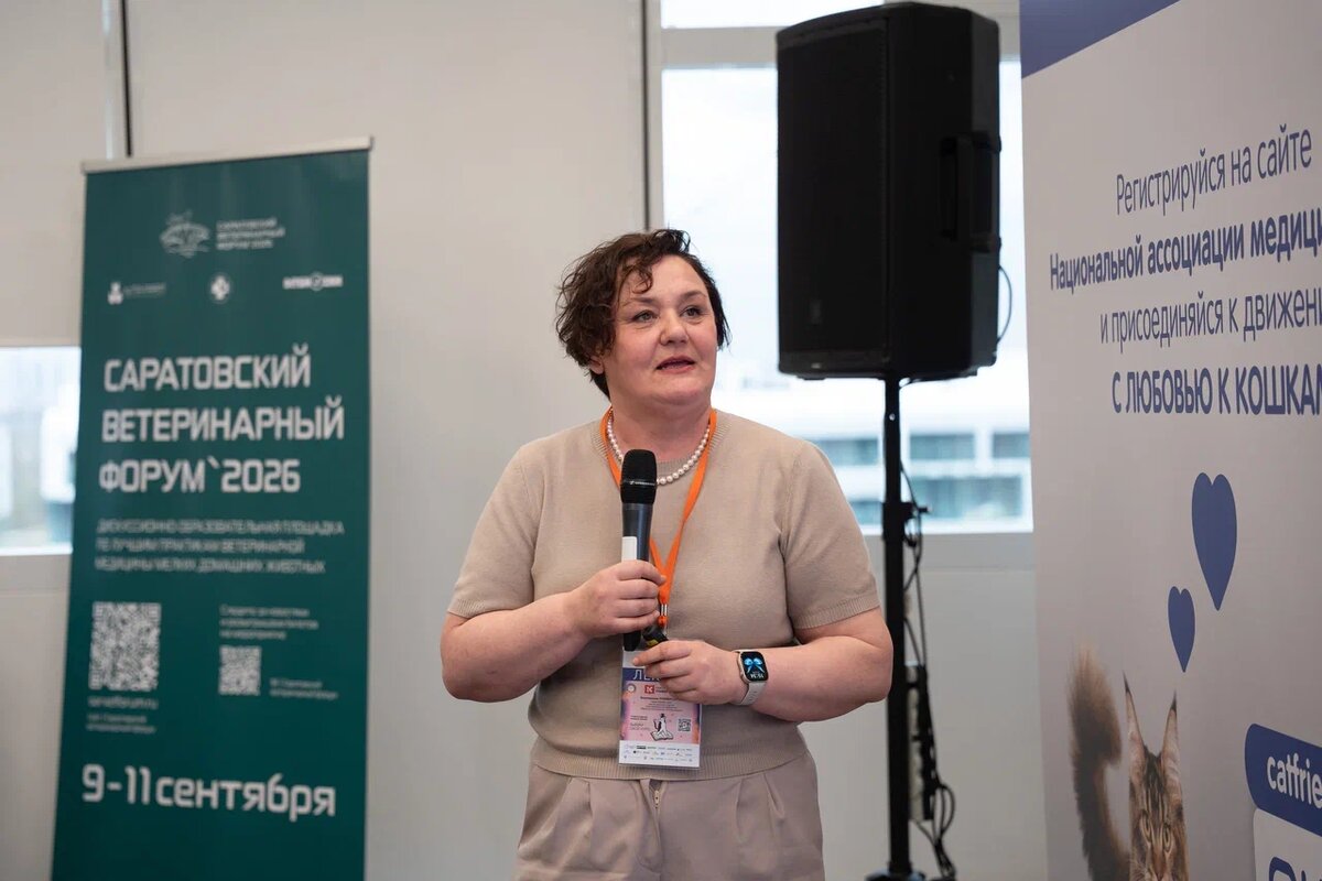 Фото: Александр Плонский / «ВиЖ».