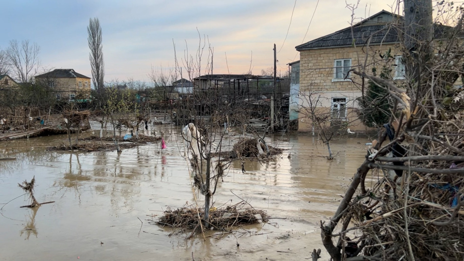    Стрингер/NEWS.ru