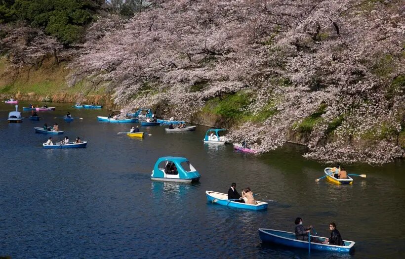     © РИА Новости. Юки Ивамура
