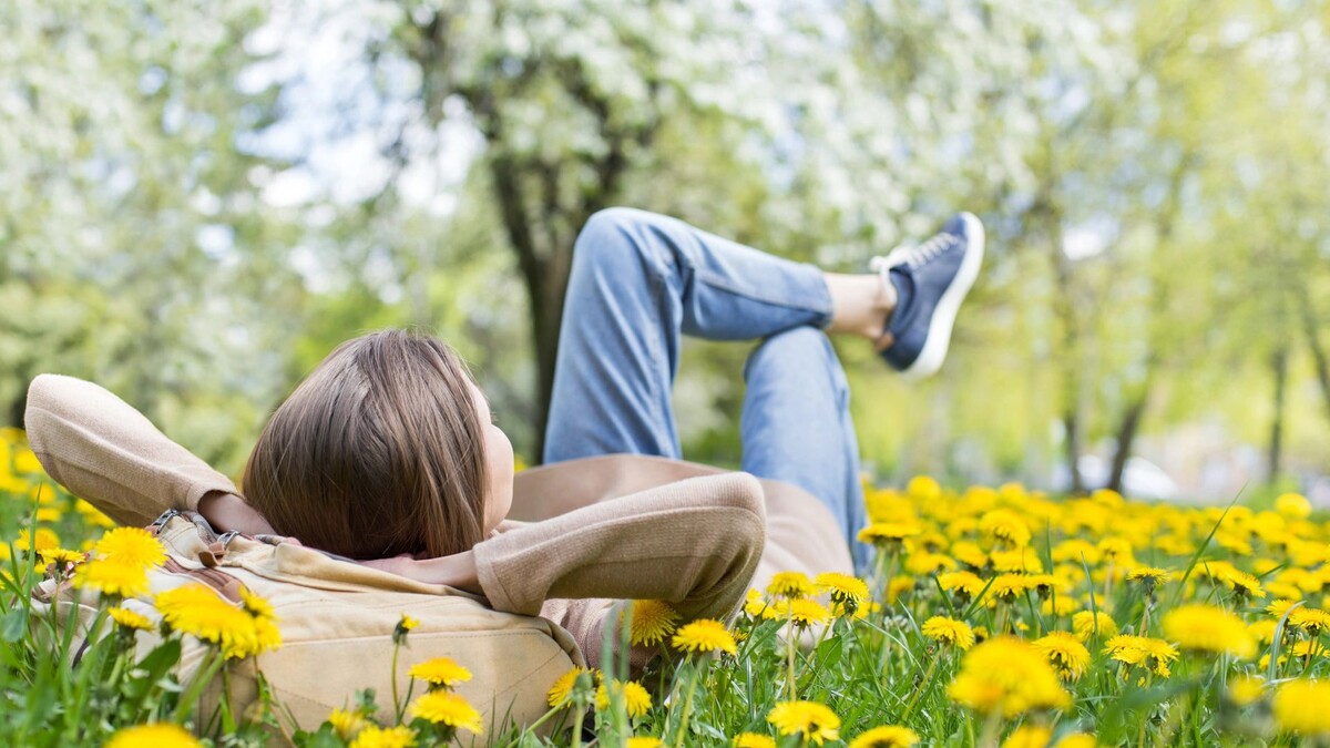    Фото: Kite_rin/Shutterstock/Fotodom