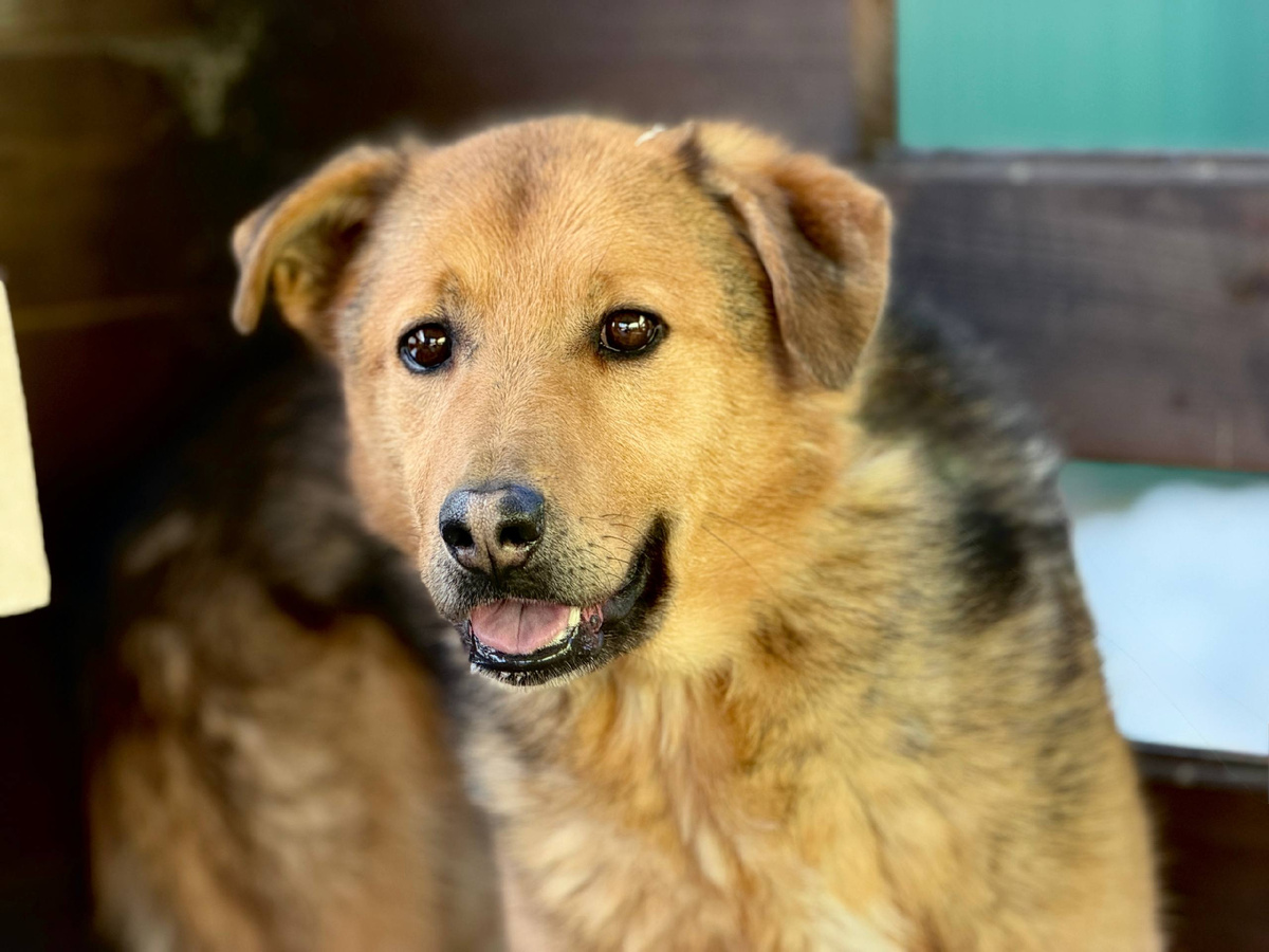 Фотосессия Брома этой весной. 