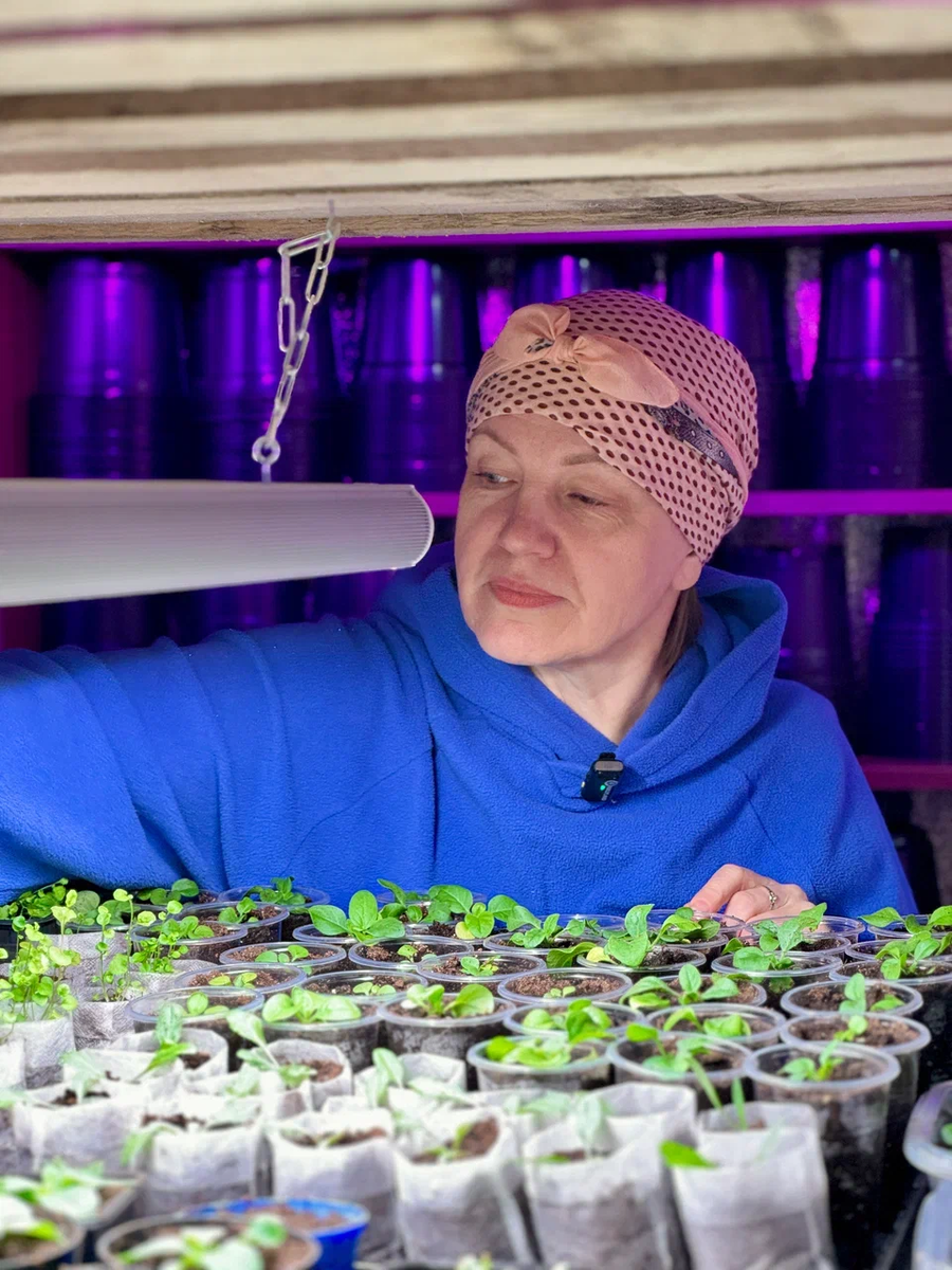 Света занимается цветами почти круглый год