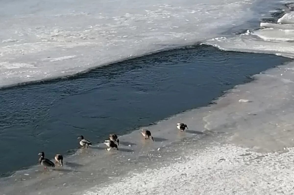    В Новосибирской области ожидается резкое похолодание до −13 градусов